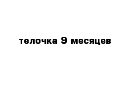 телочка 9 месяцев